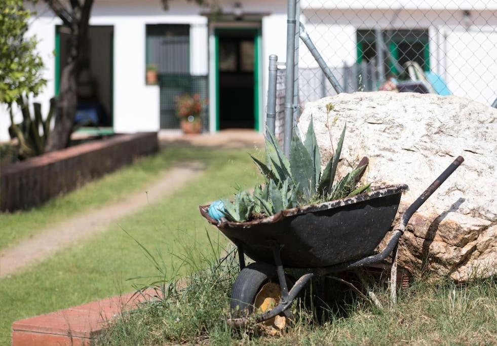 Cottage Eco-Friendly Barcelona Country Side لا غارّيغا المظهر الخارجي الصورة
