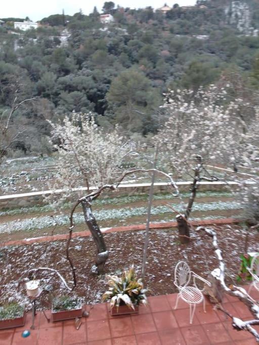 Cottage Eco-Friendly Barcelona Country Side لا غارّيغا المظهر الخارجي الصورة
